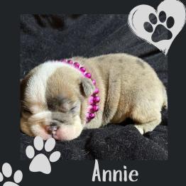Annie